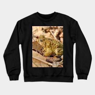 Toad Camouflage Amongst the Leaves Photograph Crewneck Sweatshirt